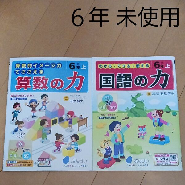 6年生 六年 国語 算数 漢字 計算 読解 ドリル スキル 問題集 文章問題 算数の力 国語の力