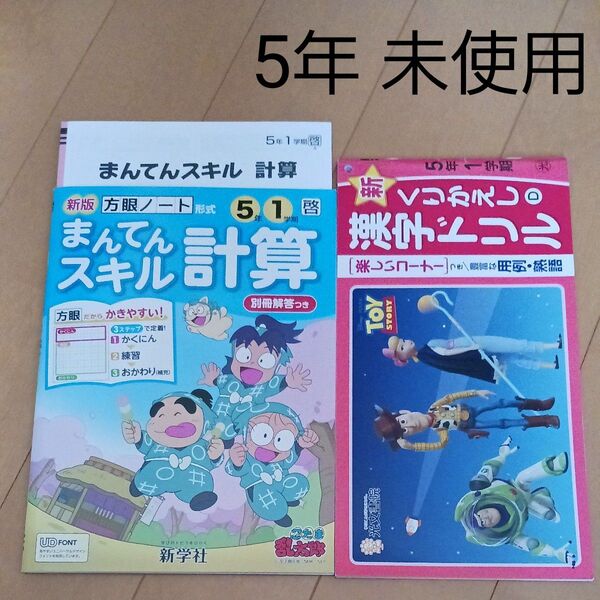 算数 漢字 小学校 小学生 5年 ドリル スキル 計算 問題集