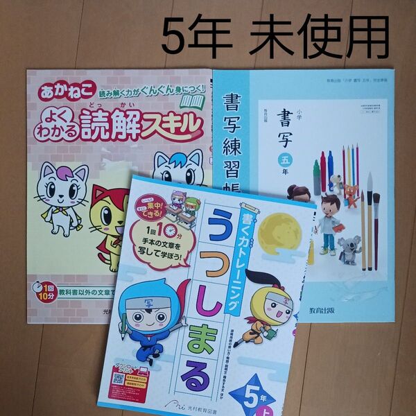 小学校 小学生 5年 国語 読解 書写 書く力 ドリル スキル ノート あかねこ