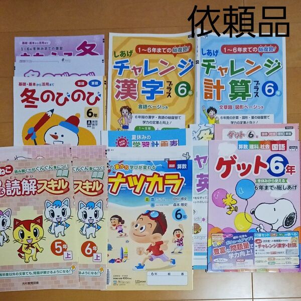 小学生 5年 6年 国語 読解 ドリル スキル あかねこ 夏休み 冬休み 年度末 自宅保管