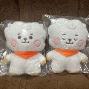 【新品未使用】 BT21 ぬいぐるみ ベービーRJ x 2体 高さ15cm