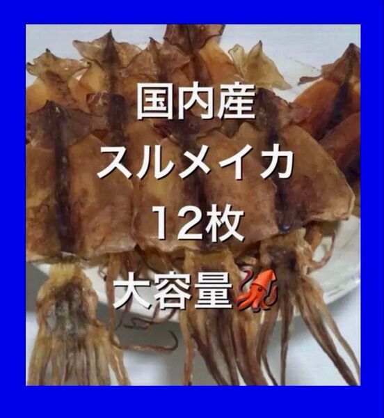 北海道産スルメイカ12枚セット おつまみ 珍味 あたりめ するめいか 北海するめ 酒肴の逸品 松前漬にも お買い得 即購入大歓迎!