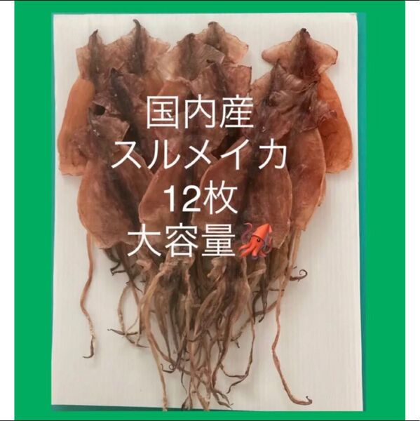 北海するめ12枚セット おつまみ あたりめ 北海道近海するめいか 松前漬に お買い得 松前加工場謹製