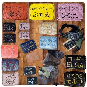 お名前刺繍入り ハーネス用 ネームタグ 2枚セット
