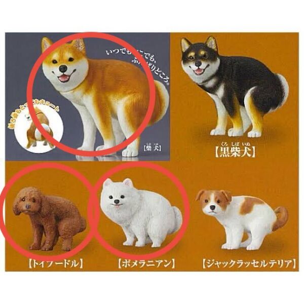 新品未開封 ふんばり〜ぬ トイプードル・柴犬・ポメラニアン3セット