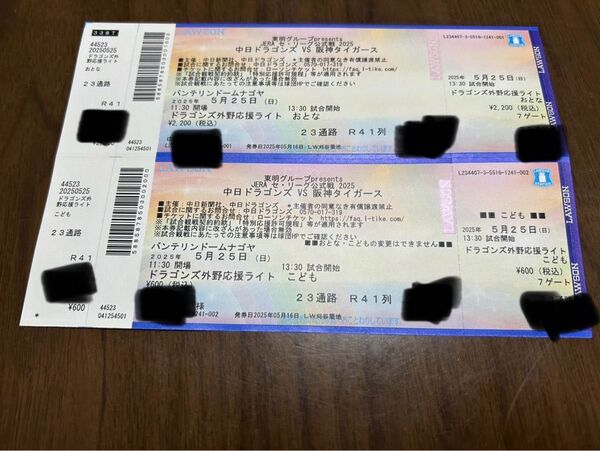 中日ドラゴンズvs阪神タイガース 5月25日 ライトスタンド