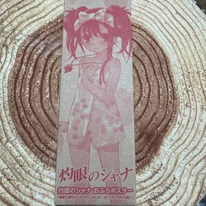 灼眼のシャナ お風呂ポスター 電撃文庫MAGAZINE Vol24 2012年3月号付録