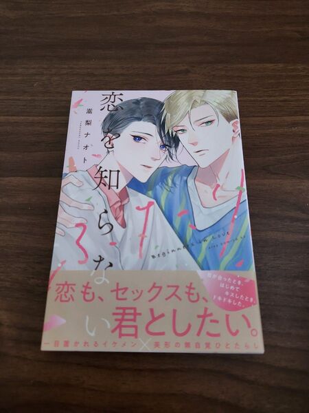 恋を知らないふたり 嵩梨ナオト