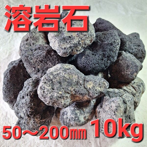 【溶岩石】 水槽 サウナストーン アクアリウム 浅間石 割栗石 約10kg