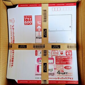 【レターパックプラス】600円×100枚(新品未使用、帯付き)