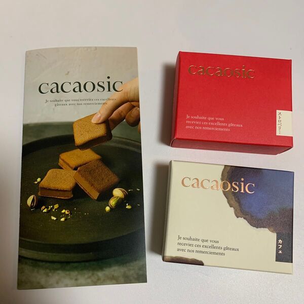 カカオシック チョコレートサンド チョコ菓子