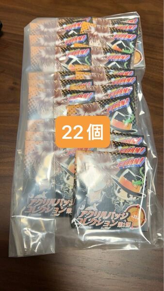 家庭教師ヒットマンREBORN! リボーンアクリルバッジコレクション 第1弾 22個セット