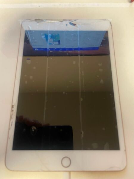 ipad mini5世代 cellular 64 ジャンク