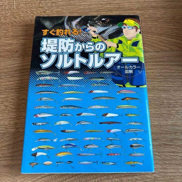 すぐ釣れる! 堤防からのソルトルアー/旅行レジャースポーツ