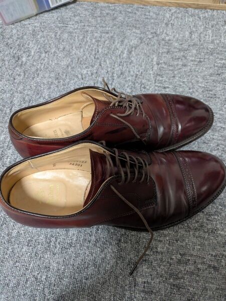 ALDEN ストレートチップ #8 1/2 コードバン