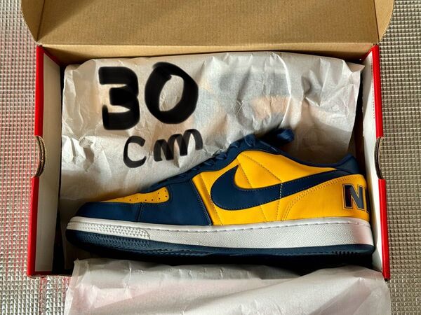 30.0cm. NIKE TERMINATOR LOW ミシガン ナイキ