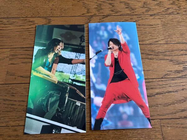 GLAY×GiGO クリアマルチケース TERU TAKURO