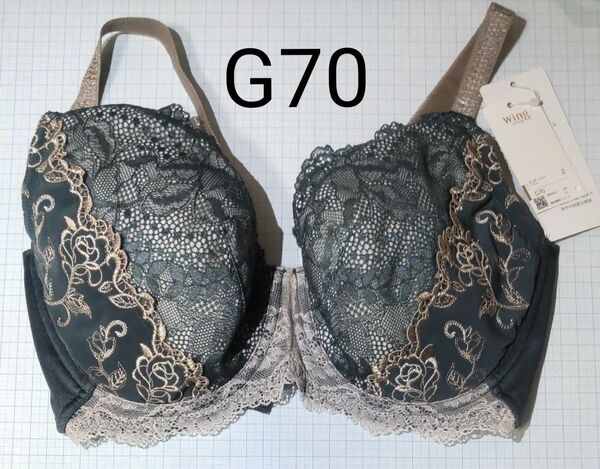 ワコール レシアージュ PB2651 着やせ、叶えるブラ G70