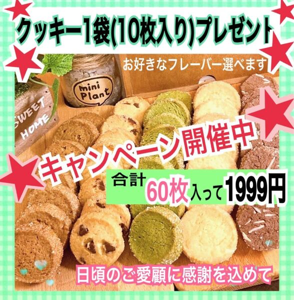 ③手作りクッキーディアマンクッキー50枚+プレゼント10枚(合計60枚)