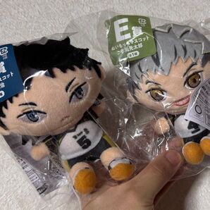 ハイキュー 一番くじ ぬいもっち 木兎赤葦ペア