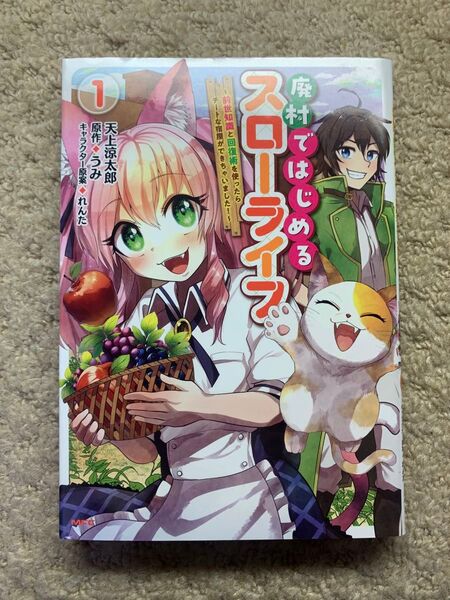 廃村ではじめるスローライフ ~前世知識と回復術を使ったらチートな宿屋ができちゃいました!~ 1