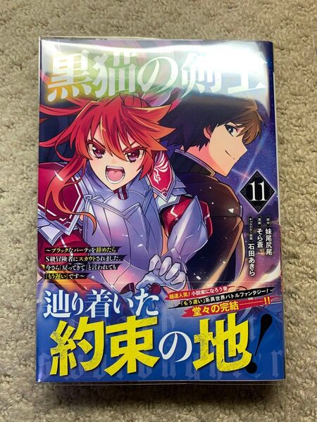 黒猫の剣士 11 ~ブラックなパーティを辞めたらS級冒険者にスカウトされました。今さら「戻ってきて」と言われても「もう遅い」です~