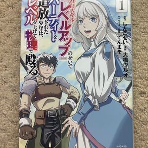 外れスキル『レベルアップ』のせいでパーティーを追放された少年は、レベルを上げて物理で殴る1