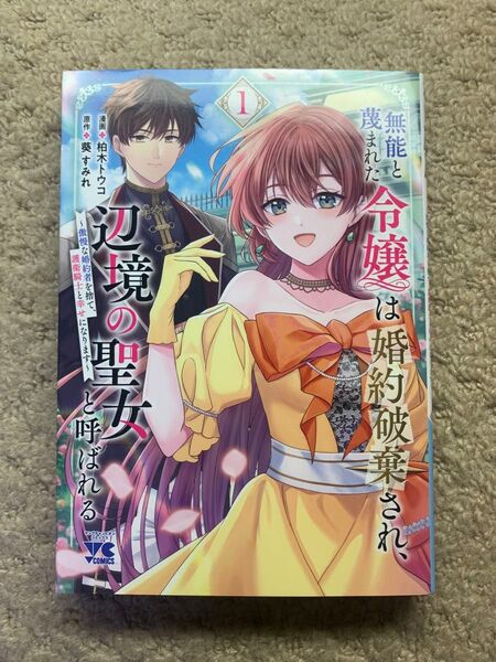 無能と蔑まれた令嬢は婚約破棄され、辺境の聖女と呼ばれる ~傲慢な婚約者を捨て、護衛騎士と幸せになります~ 1