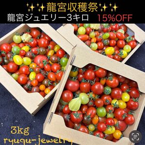 龍宮ジュエリー3キロ