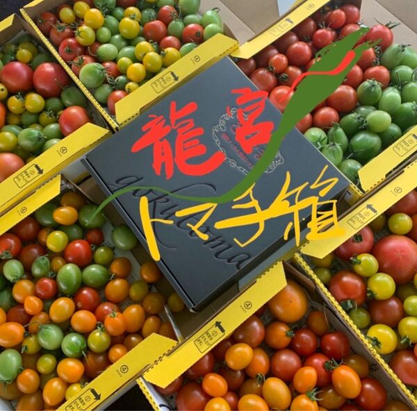 龍宮トマ手箱