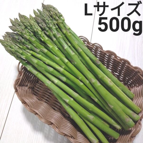 アスパラ Lサイズ 会津産 約500g 約500グラム アスパラガス 野菜
