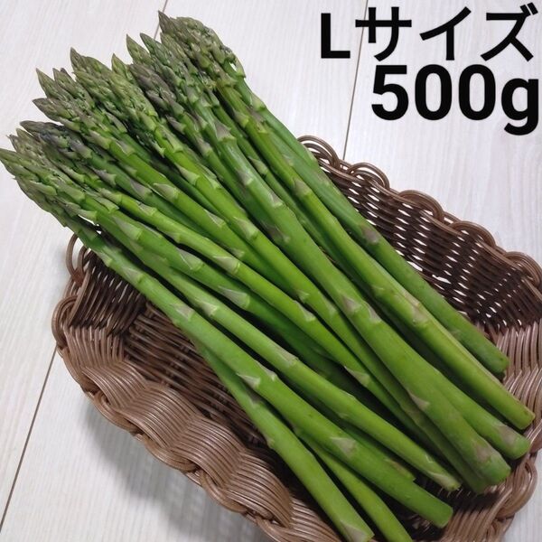 アスパラ Lサイズ 会津産 約500g 約500グラム アスパラガス 野菜
