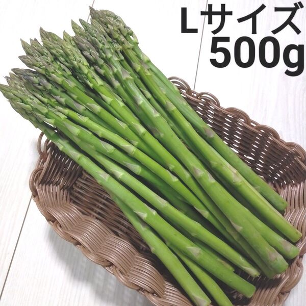 アスパラ Lサイズ 会津産 約500g 約500グラム アスパラガス 野菜