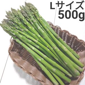 アスパラ Lサイズ 会津産 約500g 約500グラム アスパラガス 野菜