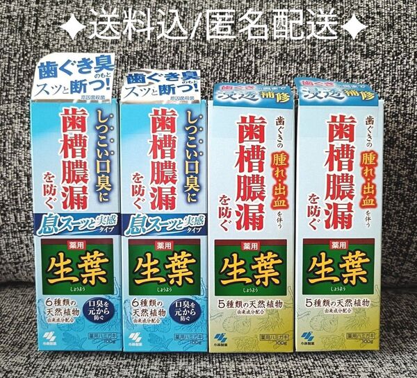生葉 薬用歯磨き 歯槽膿漏 100g ×4個 小林製薬