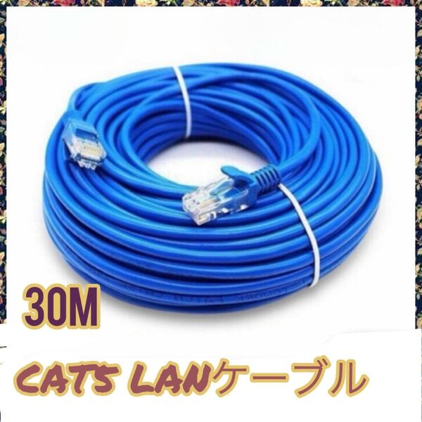 1179 CAT5 LANケーブル 30m ブルー