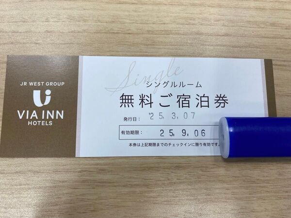 ヴィアイン シングルルーム 無料宿泊券