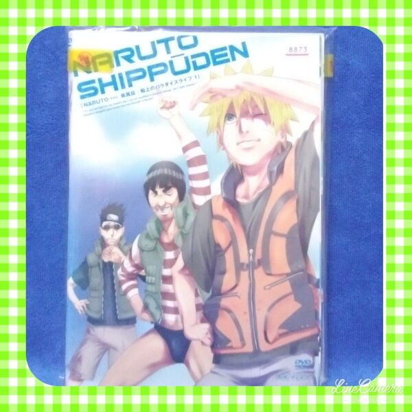 NARUTO-ナルト-DVD【ナルト疾風伝 船上のパラダイスライフ 5本組】