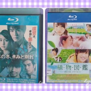 岩田剛典出演Blu-ray【昨年の冬、きみと別れ 他1本】
