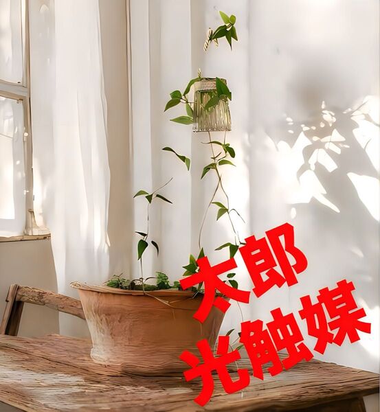 光触媒 人工観葉植物 ウォールグリーン フェイクグリーン 花器付リキュウソウ90