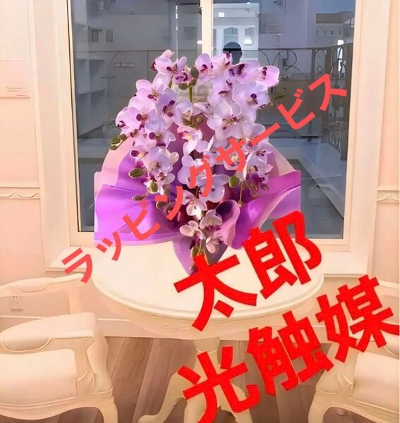 光触媒 人工観葉植物 ウォールグリーン フェイクグリーン ミニ胡蝶蘭3本