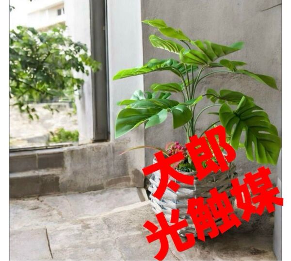 光触媒 人工観葉植物 ウォールグリーン フェイクグリーン モンステラ3327@
