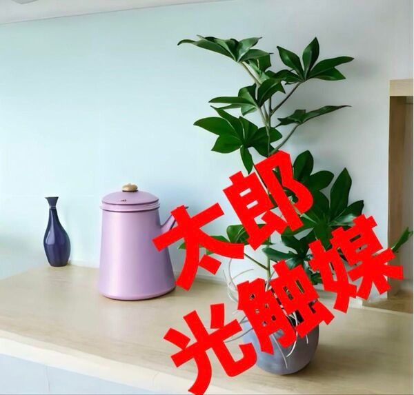 光触媒人工観葉植物ウォールグリーンフェイクフラワーハンドメイド バオバブの苗