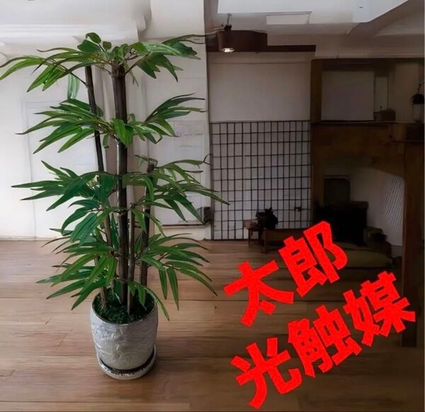 光触媒 人工観葉植物 ウォールグリーン フェイクグリーン 黒竹7042
