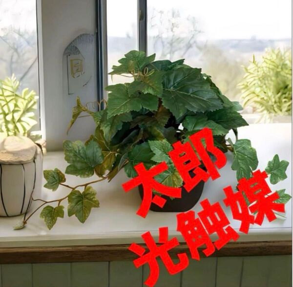 光触媒 人工観葉植物 ウォールグリーン フェイクグリーン グレープバイン@gp