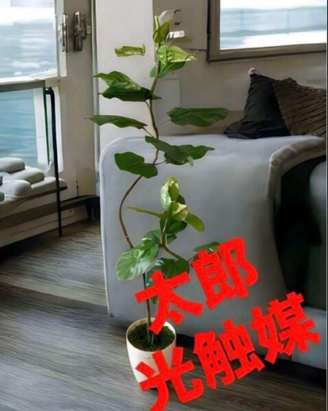 光触媒 人工観葉植物 ウォールグリーン フェイクグリーン クネクネウンベラータwa