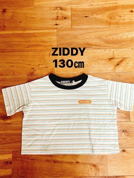 ZIDDY 130㎝ 半袖Tシャツ ショート丈 女の子 子供服 ボーダー ジディ