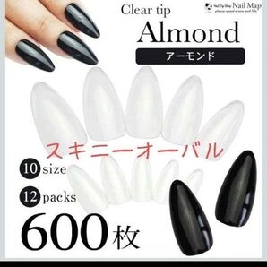 スキニーオーバル 600枚 クリアネイルチップ AN79