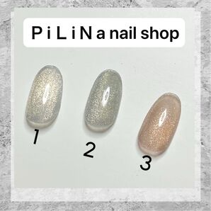 サイズオーダー/ワンカラー/マグネットB/ネイルチップ