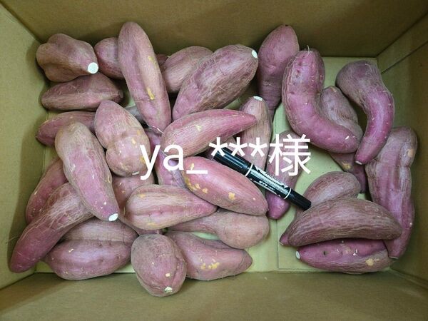 ya_***様 ほりだし君 8kg わけあり 熊本県産